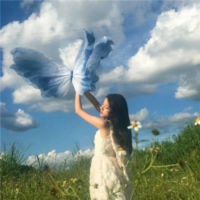 森林：随处可见 在线观看